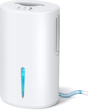 Our Take: Quiet, Compact Gocheer Dehumidifier Review