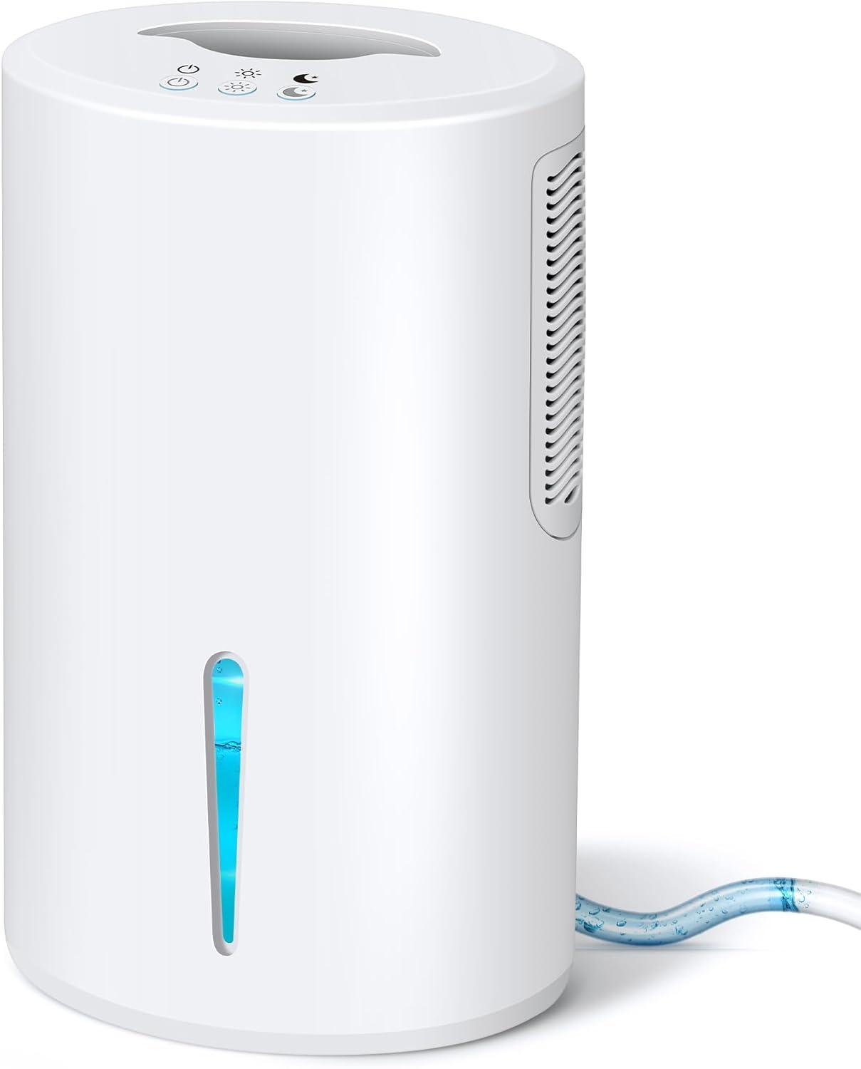 Our Take: Quiet, Compact Gocheer Dehumidifier Review